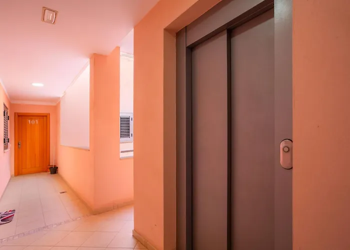 Obsidian Aregoma La Caleta *